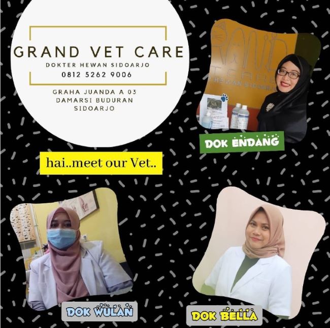 Grand Vet Care Dokter Hewan Sidoarjo - Photo by Grand Vet Care Instagram