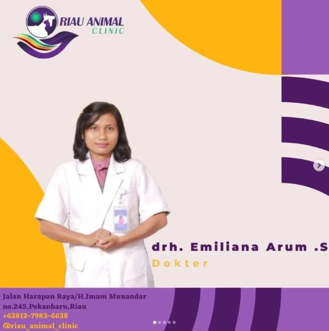 drh. Emiliana Arum S Dokter Hewan Pekanbaru - Photo by Riau Animal Clinic Instagram