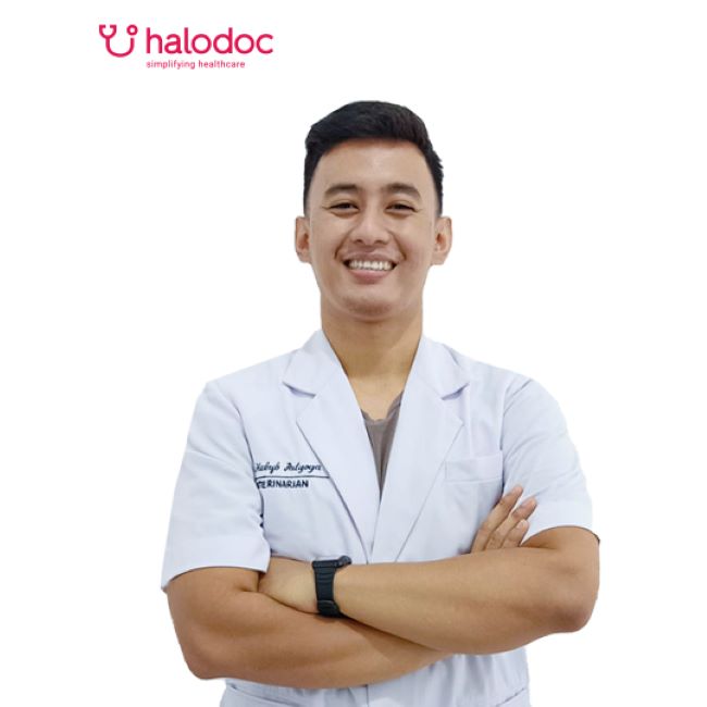 drh. Habyb Palyoga Dokter Hewan Pekanbaru - Photo by halodoc