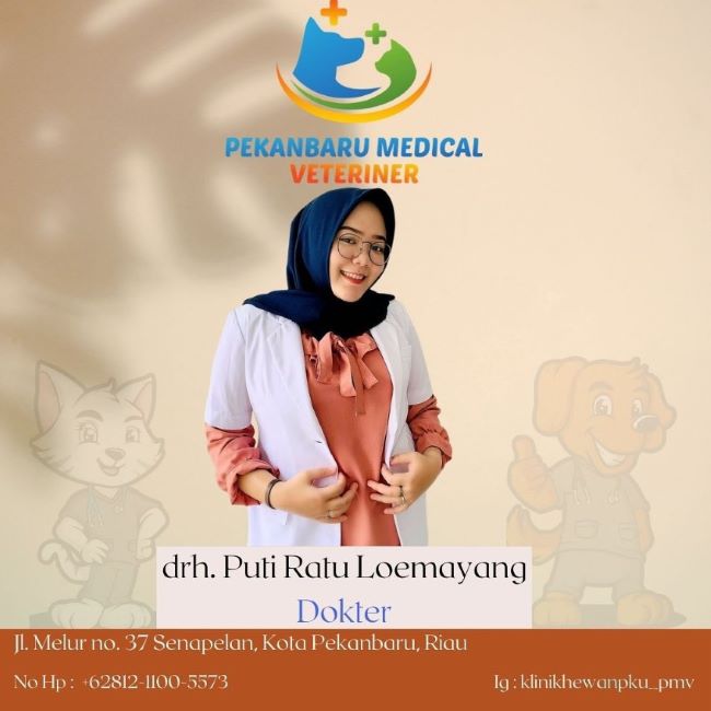 drh. Puti Ratu Loemayang Dokter Hewan Pekanbaru - Photo by Pekanbaru Medical Veteriner Instagram