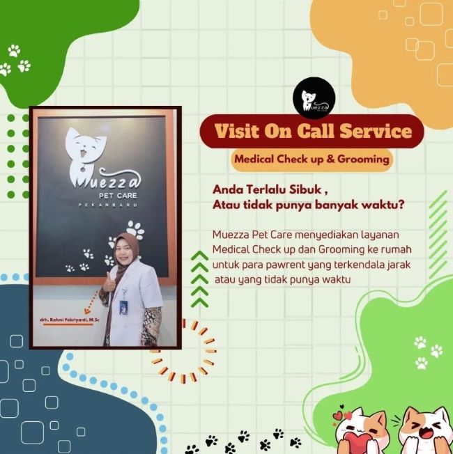 drh. Rahmi Febriyanti, M.Sc Dokter Hewan di Pekanbaru - Photo by Muezza Pet Care Instagram