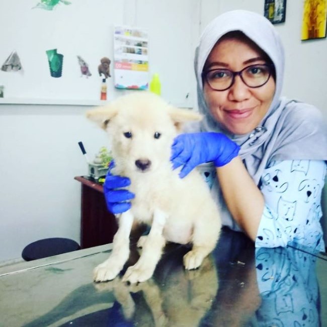 drh. Rospita Pane, M.E Dokter Hewan Jambi - Photo by Kumi Pet Store and Care Instagram