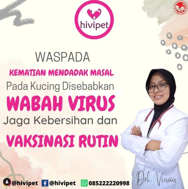 drh. Widhi Vinandhita Dokter Hewan Cirebon - Photo by Hivipet Instagram