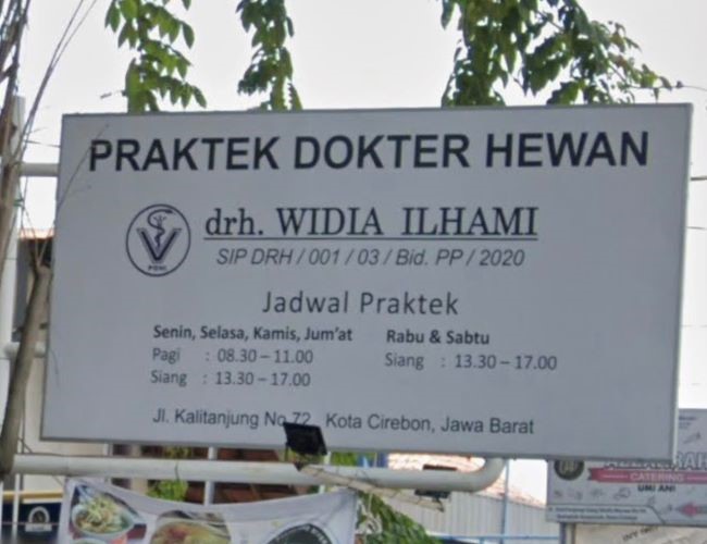 drh. Widia Ilhami Dokter Hewan Cirebon - Photo by Google